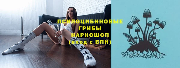бошки Бронницы