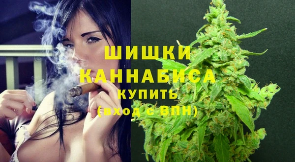 PSILOCYBIN Балахна