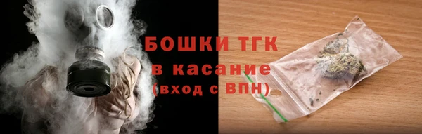 спайс Богданович