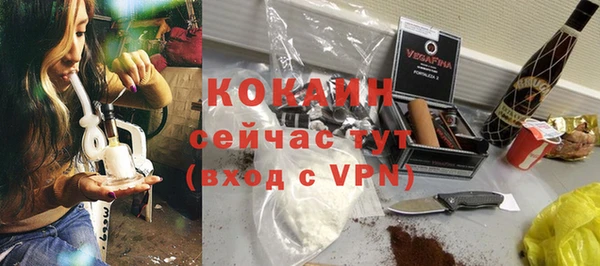 бошки Бронницы