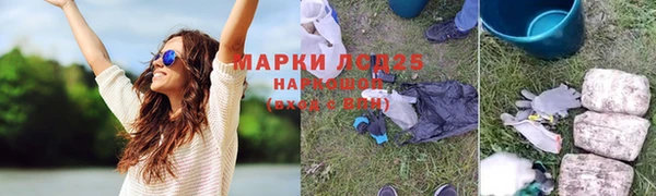PSILOCYBIN Богородицк