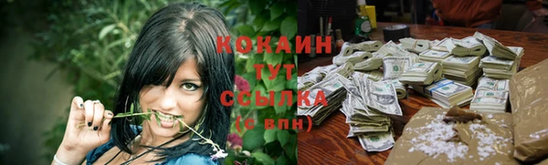 спайс Богданович