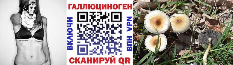 где можно купить   Калачинск  Галлюциногенные грибы ЛСД 